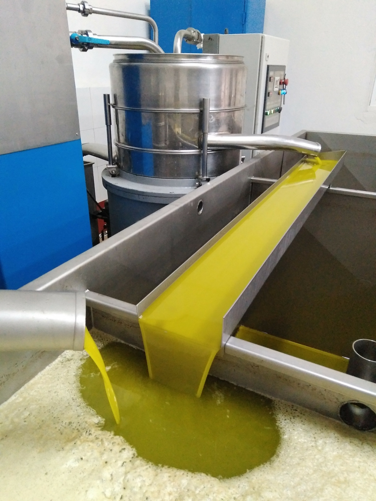 Elaboración del aceite en la almazara Molino Alfonso