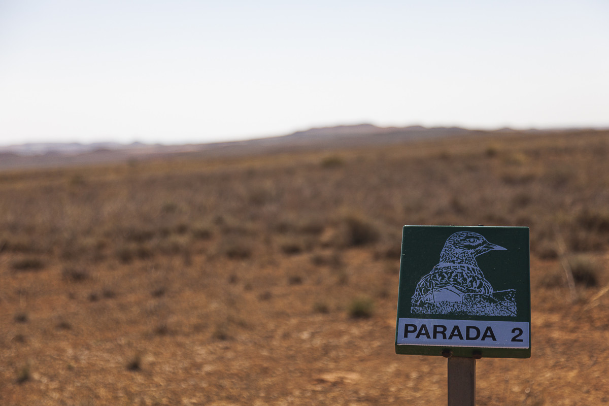 Un sendero autoguiado recorre la Reserva Ornitológica de El Planerón