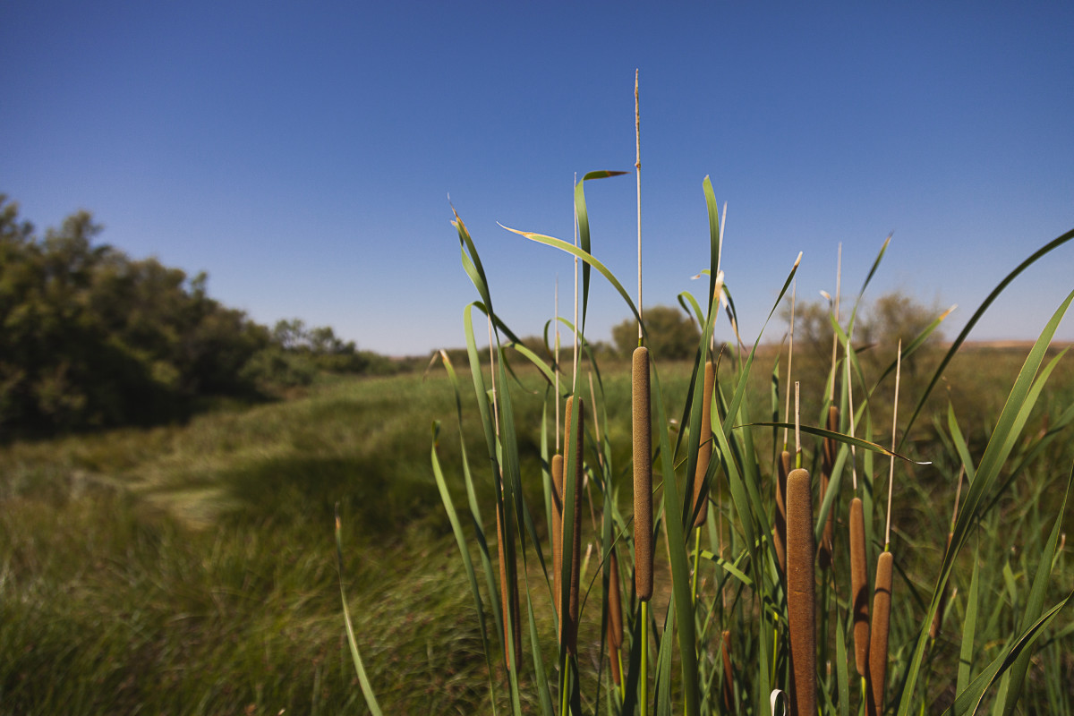 La reserva alberga especies de gran valor ecológico