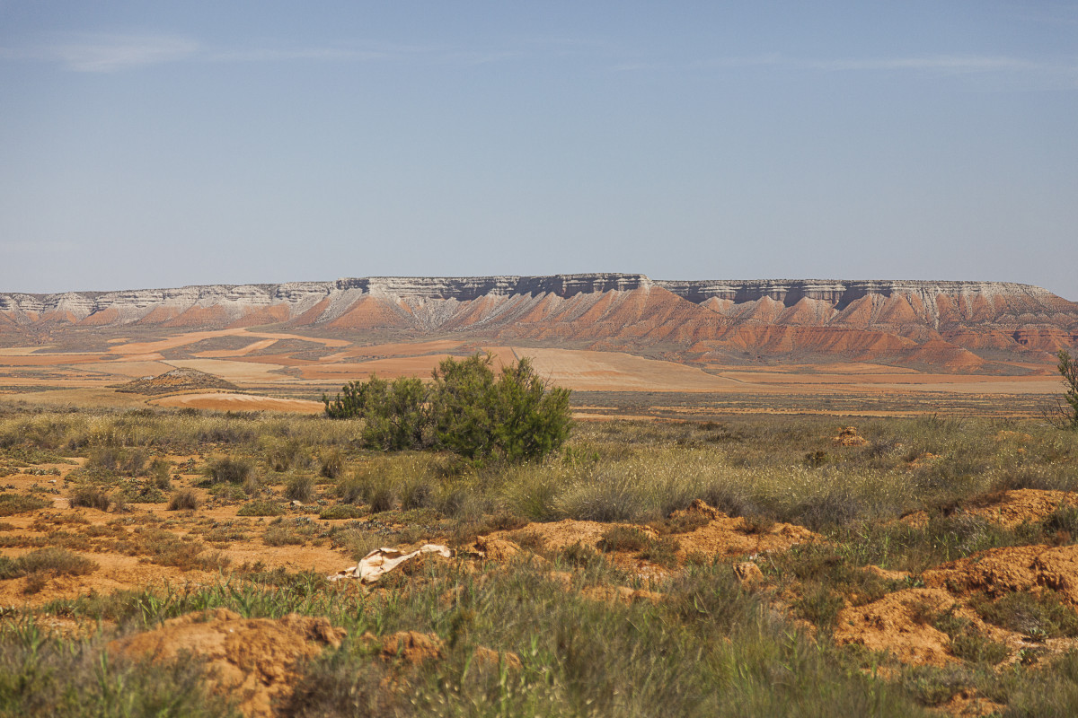 El amanecer y el atardecer son los mejores momentos para la vista