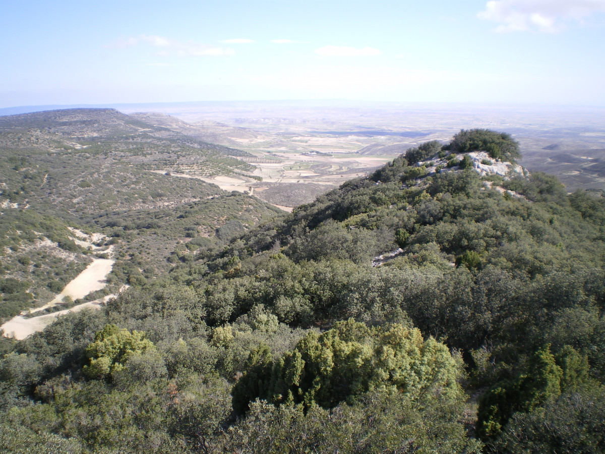 Desde Las Cucutas se divisa toda la comarca