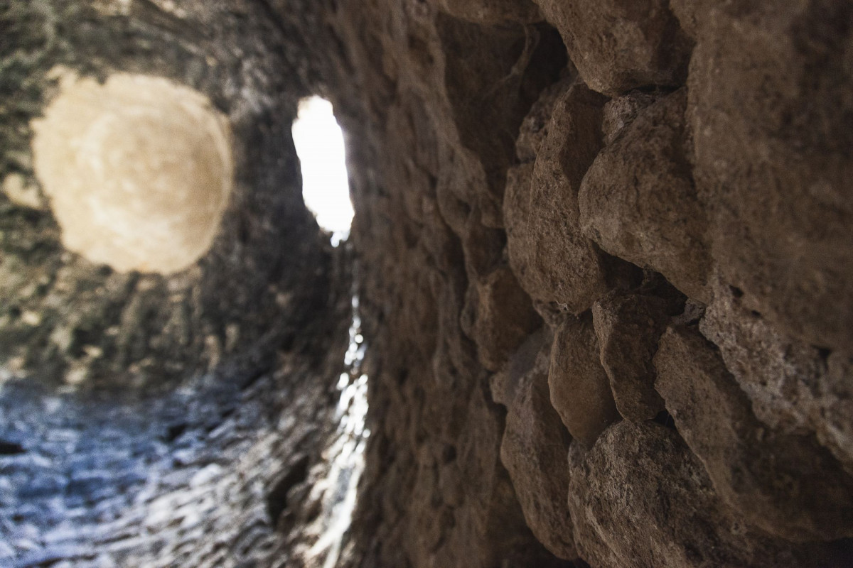 El interior de la nevera de Lécera