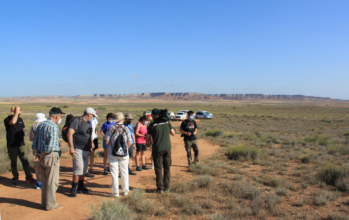 El Planerón, la reserva ornitológica ebtre Belchite y Codo
