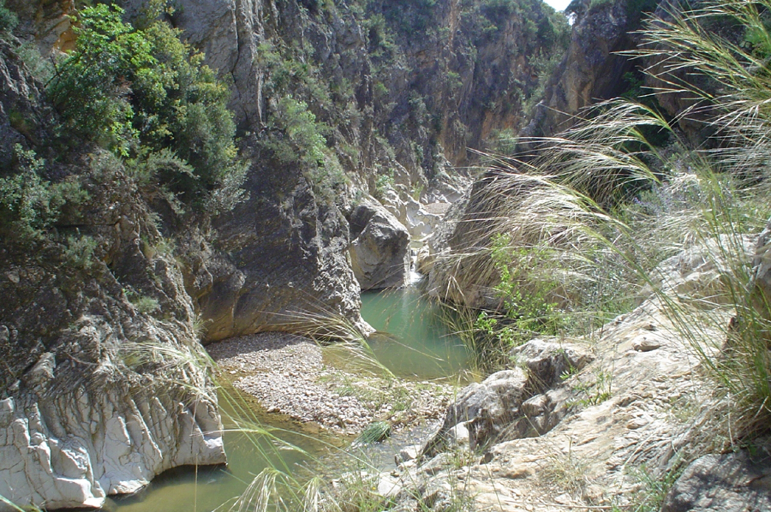 Rio Aguasvivas 2