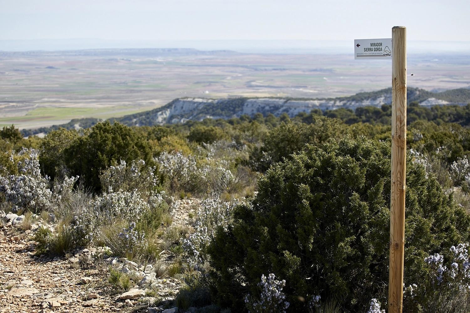mirador-de-la-sierra-gorda-04