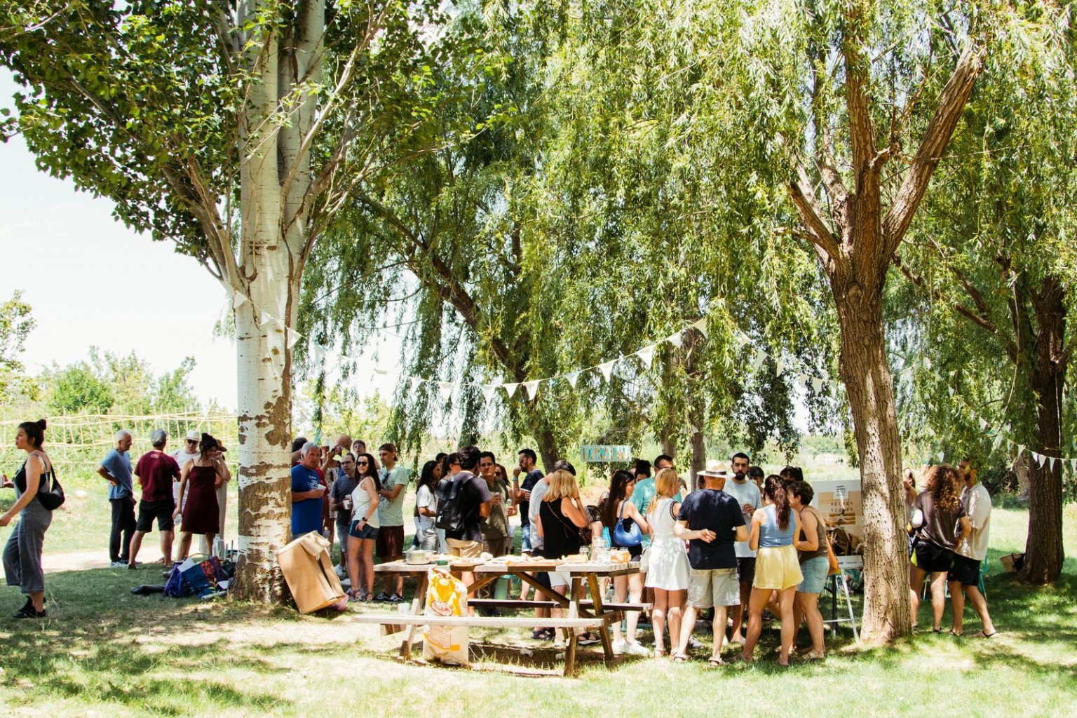 escenario_estepario-08-escenario-estepario-letux-20240720-133545-0855